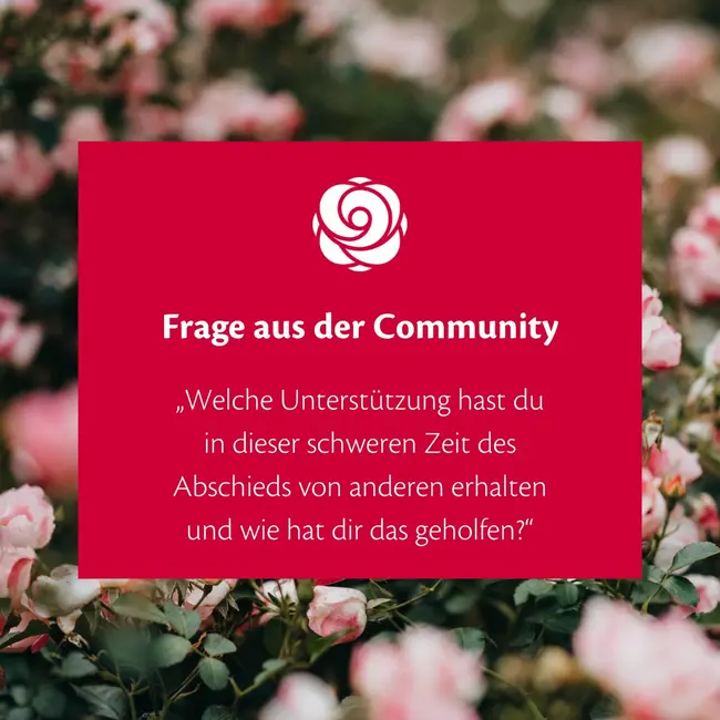 Heute gibt es eine neue Frage aus unserer Community ❤

Welche Unterstützung hast du in dieser schweren Zeit des...